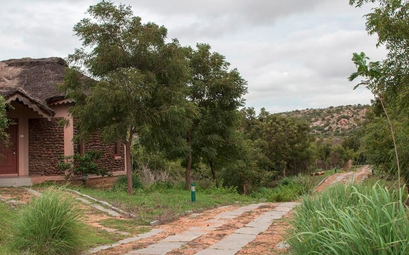 Hampi Heritage and Wilderness Resort-Jungle Lodges, Bellary 2